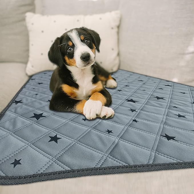 RIOUSSI Washable Pee Pads for Dogs, Reusable, Absorbent, Leakproof, Non Slip Pet Puppy Pads for Potty Training. Gray Stars, 72x72 Inch(1pack)