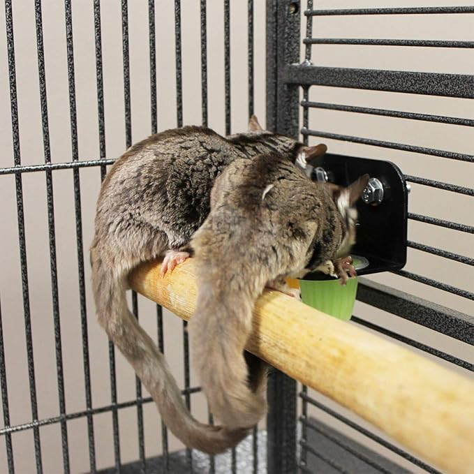 Nectar Pods (Yogurt) - Calcium-Fortified Jelly Fruit Treat - Sugar Gliders, Marmosets, Squirrels, Parrots, Cockatiels, Parakeets, Lovebirds, Conures, Hamsters, Day Geckos, Kinkajous & Other Small Pets