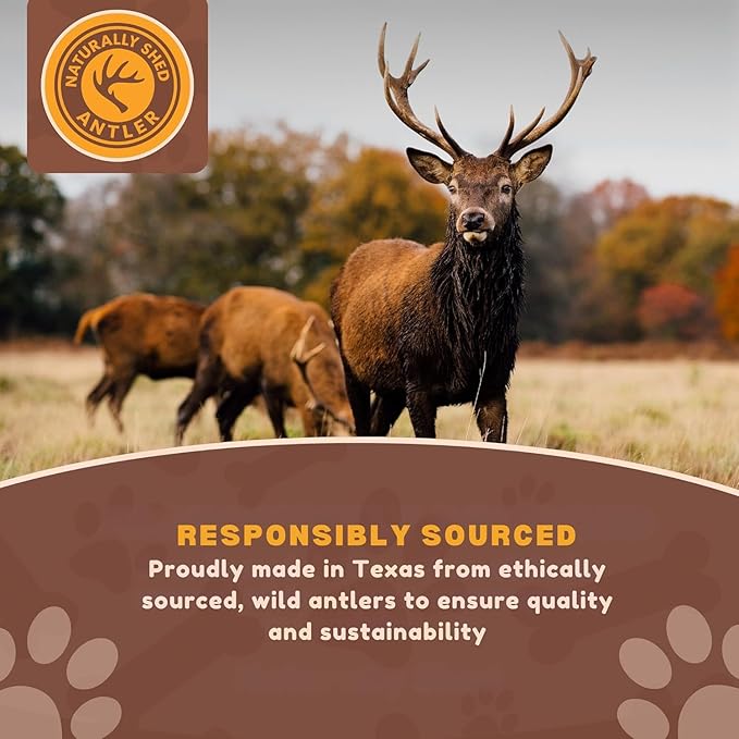 WhiteTail Naturals - (2 Pack- Extra Large - Split Elk Antlers for Large Dogs (XL) - Antler Dog Chews - Naturally Shed, Elk Horn Chew Bone for Aggressive Chewers