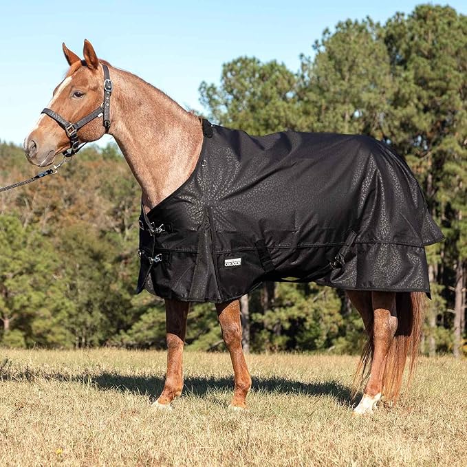 Jeffers Poplar Head 600 Denier Turnout Sheet for Horses, 0g Polyfill, 69"- Waterproof, Windproof Lightweight Horse Blanket, Adjustable Chest Belly Straps, Tail Flap, Stable Blanket - Covert Cheetah
