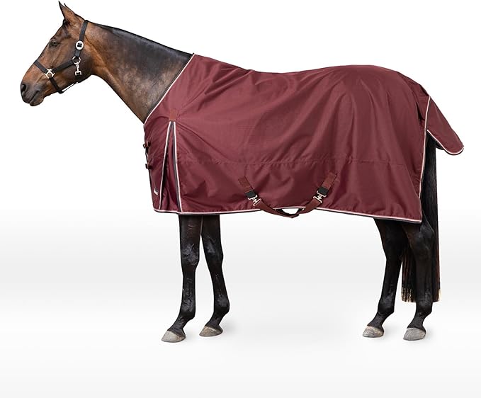 HORZE Glasgow Lightweight Waterproof Horse Turnout Blanket (100g Fill) - Burgundy - 69 in
