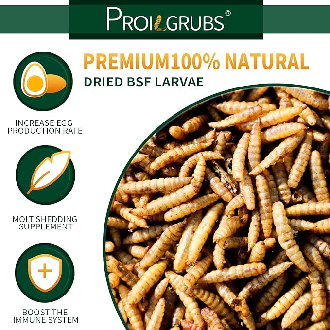 PROILGRUBS 30 LBS All Natural Black Soldier Fly Larvae Treats - Non-GMO Dried Grubs for Chickens, Hens, Birds - Meal Worms
