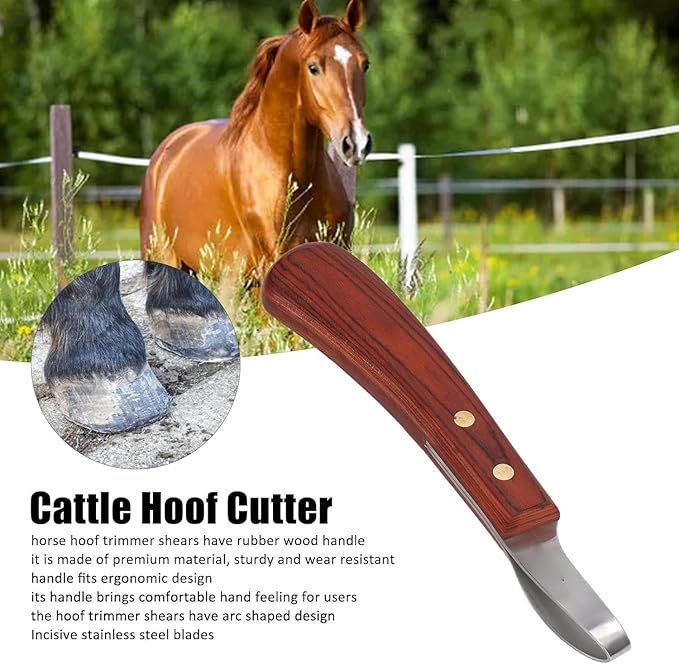 CHICIRIS Double Edged Hoof Knife, Farrier Tool with Stainless Steel Blade and Wooden Handle, Multifunctional Cow Horseshoe Knife for hoof Trimming of Horses and Cows