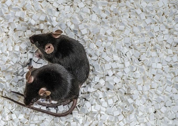 Small Animal Bedding, Paper Bedding for Small Animals, Mouse, Rodent, Rats, Gerbil, Snake, 20 lbs