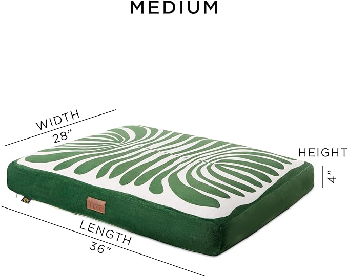 TOWN & COUNTRY LUXE CuddleTown Matisse Everwash® Pillow Pet Bed, Water Repellent Floor Pillow, Machine Washable Cover, Soft & Calming, Green, Medium 36"x28"x4"