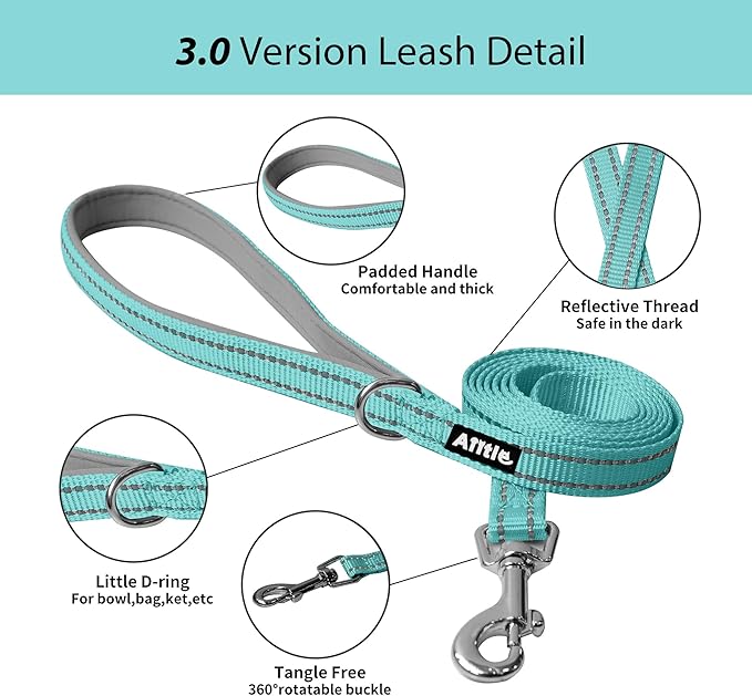 AIITLE Comfortable Dog Harness and Leash Set for Walking - Summer Step in Vest Harness,Reflective Bands, Adjustable No Pull Puppy Essentials, for Small Dogs and House Cats Pure Turquoise XS