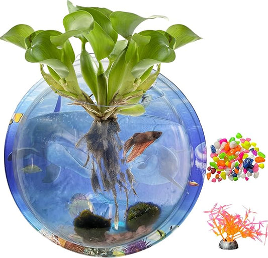 kathson Acrylic Wall Hanging Fish Bowl Wall Mounted Fish Tank Planter Fish Bubble Hanging Aquarium Hydroponic Plant Pot Betta Fish Tank Bowl for Home Decor Pot Decoration Planter (6.69 in)