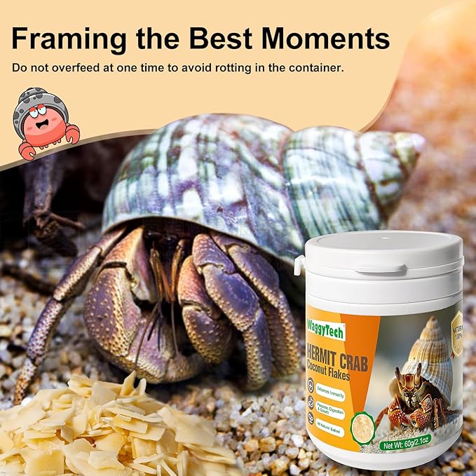 Hermit Crab Food - Baked Coconut Treat, Natural Dried Coconut for Crab Healthy & Additive Free, Easily Digestible Hermit Food Hermit - Ideal Crab Pet Snacks, Crispy & Delicious | 60g (Big)