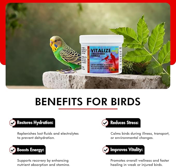 Morning Bird Vitalize for Birds 3 Oz – Stress Relief & Dehydration Supplement – Supports Hydration, Energy, Balance & Muscle Recovery – Easy Water-Soluble Supplement for All Bird Species.