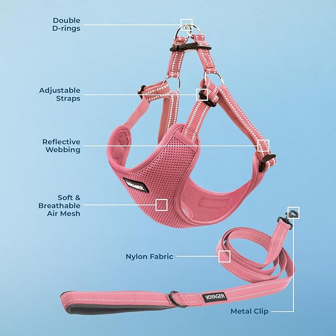 Best Pet Supplies Voyager Mesh Dog Breathable Harness Reflective Stitching, All Weather Adjustable for Walking Training, or Running - Heavy Duty & Durable, Harness Leash Set (Pink), M