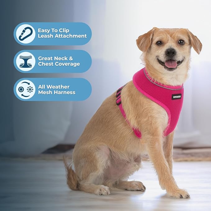 Best Pet Supplies Voyager Mesh Dog Breathable Harness Reflective Stitching, All Weather Adjustable for Walking Training, or Running - Heavy Duty & Durable, 220 Style (Fuchsia), L