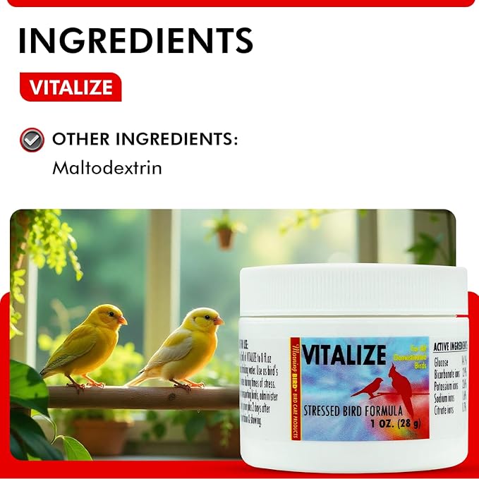 Morning Bird Vitalize for Birds 1 Oz – Stress Relief & Dehydration Supplement – Supports Hydration, Energy, Balance & Muscle Recovery – Easy Water-Soluble Supplement for All Bird Species.