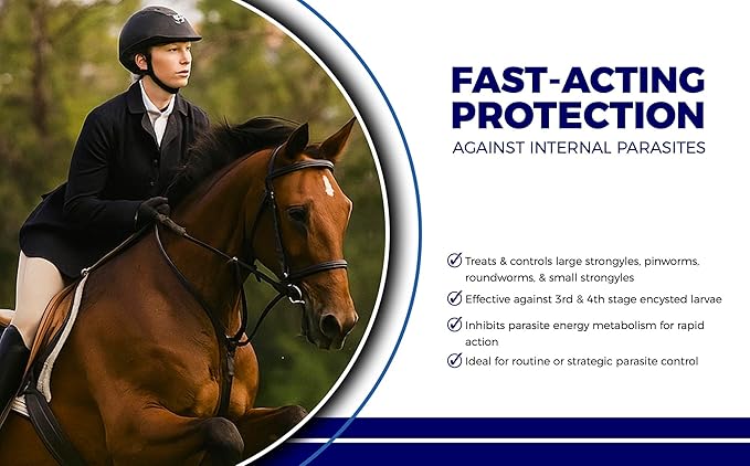 Horse Paste 10% – 4 Pack – 25g Syringes – Oral Deworming Paste for Horses of All Ages – Easy-to-Administer Equine Care