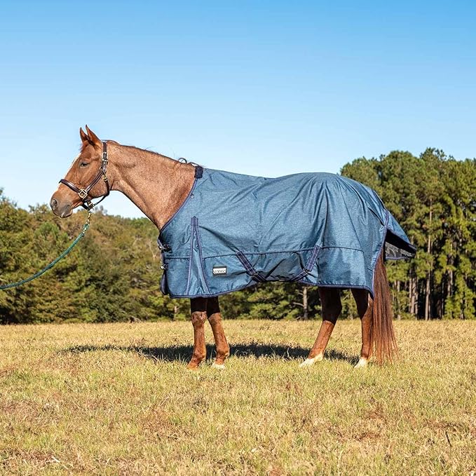 Jeffers Poplar Head 600 Denier Turnout Sheet for Horses, 0g Polyfill, 84"- Waterproof, Windproof Lightweight Horse Blanket, Adjustable Chest Belly Straps, Tail Flap, Stable Blanket - Blue Jean Baby
