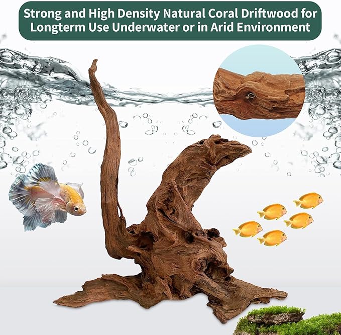 Hamiledyi 24 Pcs Small Driftwood for Aquarium 3"-5" Driftwood Branches Aquarium Decoration Reptiles Reptile Tank Accessories Assorted Size Natural Habitat Decor Wood for Lizad