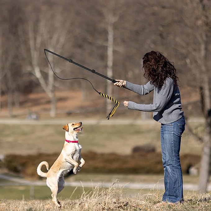 Flirt Pole for Dogs, Extendable Dog Flirt Pole with Detachable Interactive Toys Dog Teaser Wand with Lure Chewing Toy for Outdoor Exercise & Training Interactive Toys for Large Medium Small Dogs