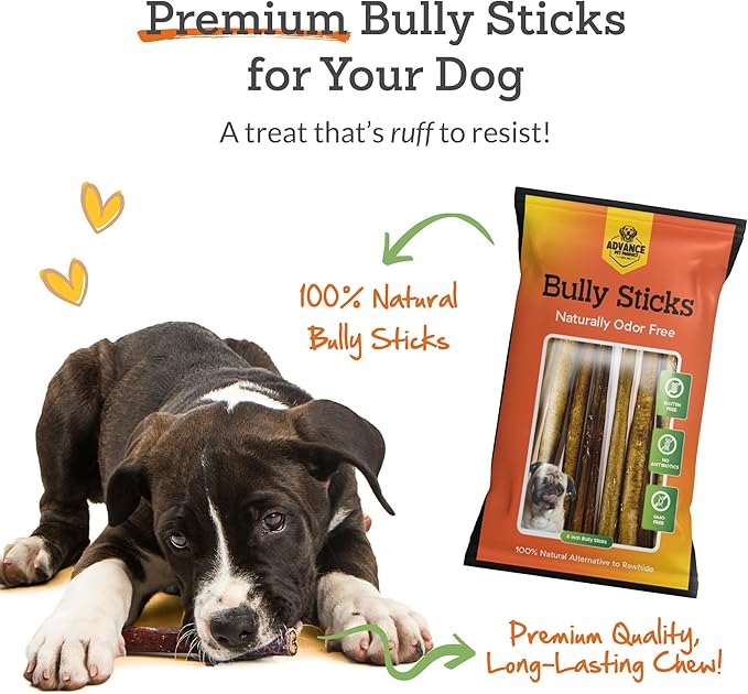 Advance Pet Products Bully Sticks for Dogs, 6 Inch Chews, Natural Long-Lasting Dog Treats, 100 Count Bulk Pack