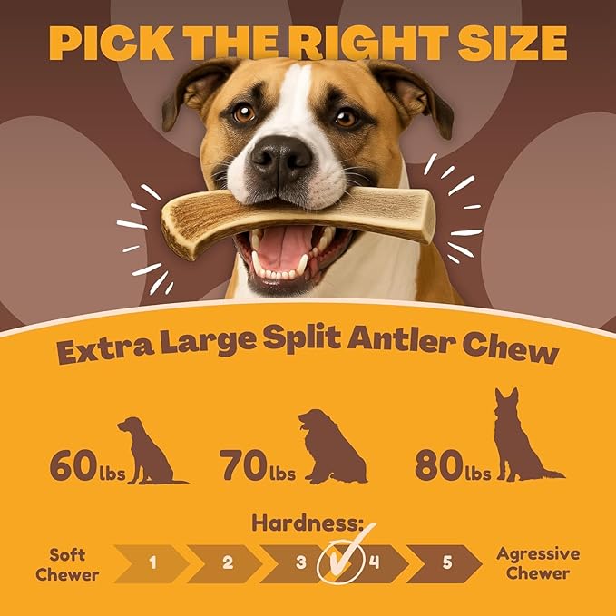WhiteTail Naturals - (2 Pack- Extra Large - Split Elk Antlers for Large Dogs (XL) - Antler Dog Chews - Naturally Shed, Elk Horn Chew Bone for Aggressive Chewers