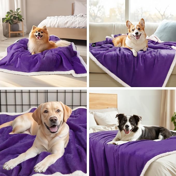 Luciphia Waterproof Bed Blanket Washable,Soft Sherpa Fleece Puppy Reversible Throw Blankets for Medium Large Dog Cat,Furniture Cover Protector Couch from Liquid Pee and Pet Fur,Purple White,65" x 57"