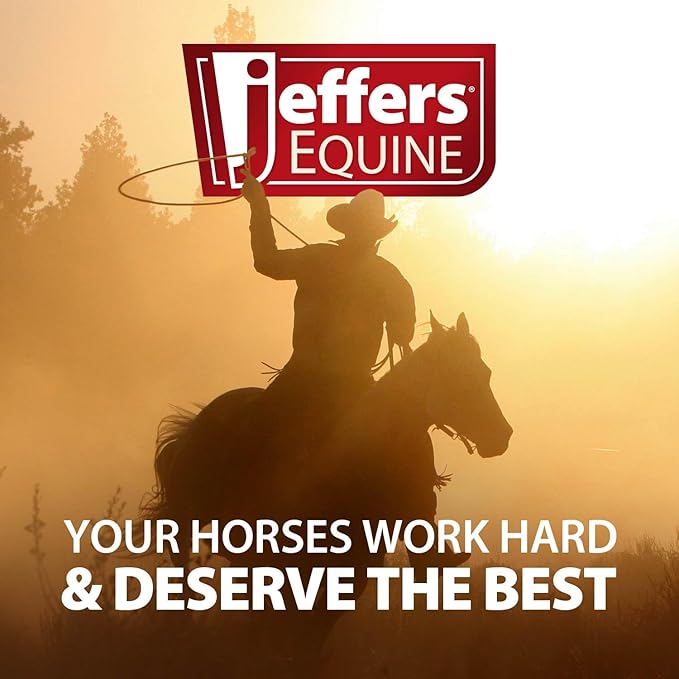 Jeffers Expression Top Loading Hay Bag for Horses & Livestock – Durable 600 Denier, Water Resistant Hay Feeder with Mesh Bottom for Stall, Trailer & Travel – Horse Feeding Supplies - Skater Cowgirl