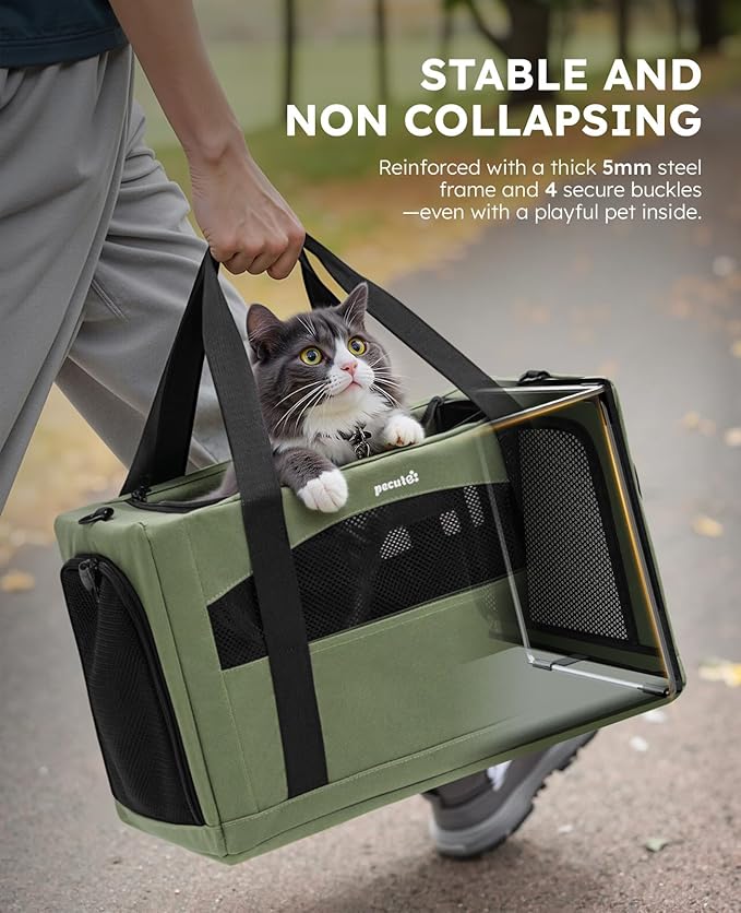 Pecute Cat Carrier Stale, Pet Carrier Breathable and Portable, Cat Carriers Bag with Scientific Hidden Partition, Carriers for Cat Under 11lbs, Dog Carrier Suitable for Travel and Outing, Green