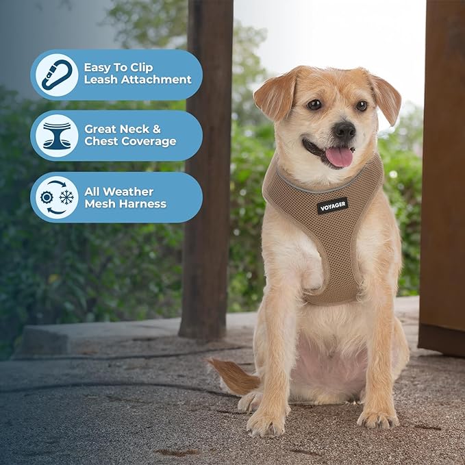 Best Pet Supplies Voyager Mesh Dog Breathable Harness Reflective Stitching, All Weather Adjustable for Walking Training, or Running - Heavy Duty & Durable, 220 Style (Beige), S