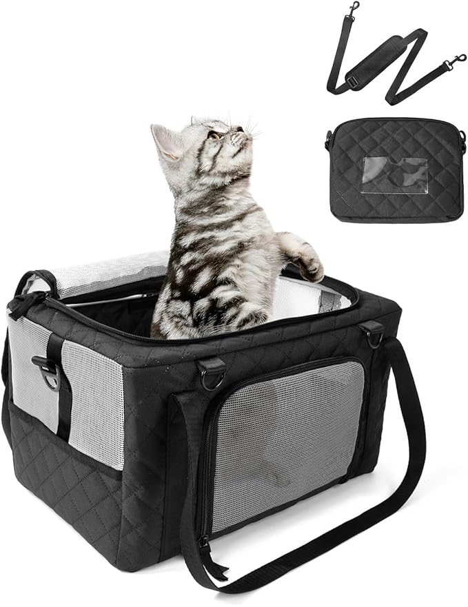 PETUX Collapsible Airline Approved Cat Carrier - 16" x 10" x 9.5", Double Anti-Escape, Small Pet Travel Bag for Small Cats Under 10 lb with Removable Snack Bag, Safety Buckle ＆ Leash - Black