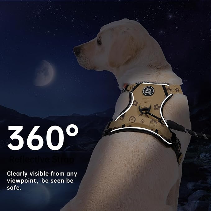 IVY&LANE No Pull Dog Harness with Leash Set, Reflective No Choke Pet Vest,Adjustable Oxford Dog Vest Harness with Easy Control Handle for Small Dogs (Light Brown,S)