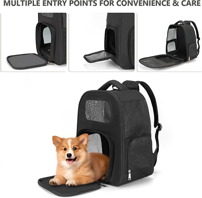 Pet Backpack Carrier for Small Cats Dogs Puppy Kitten Up to 15lbs, Stylish Lightweight Breathable Mesh with Pocket, Airline Approved Travel Foldable Pet Bag (Black, 13inch x 8.3inch x 15.8inch(LxWxH))