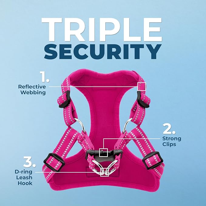 Best Pet Supplies Voyager Mesh Dog Breathable Harness Reflective Stitching, All Weather Adjustable for Walking Training, or Running - Heavy Duty & Durable, Harness Leash Set (Fuchsia), M