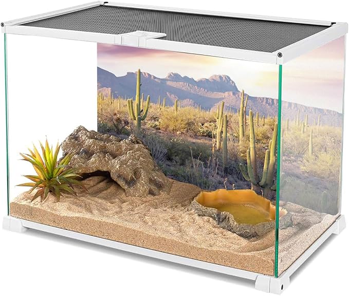 AWERT Reptile Habitat Background Blue Sky Oasis Mountain Cactus Sun and Desert Terrarium Background 72x18 inches