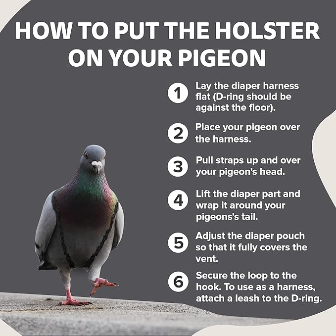 Hen Holster Wrap-Around Bird Diaper & Harness for Larger Pigeons, Small Breed - with Removable Liner, Adjustable Fit for Outdoor Adventures & Indoor Use, Easy to wear - Gray, XS