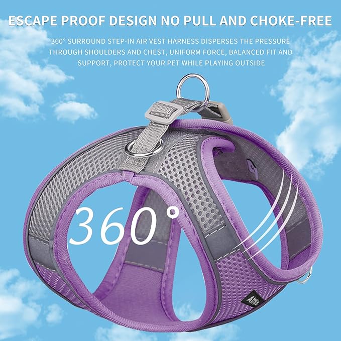 AIITLE No Pull Dog Harness and Leash Set, Step in Adjustable Dog Harness with Padded Vest for All Weather, Dog Leash with Soft Padded Handle, Easy to Put on Small and Medium Dogs Purple S