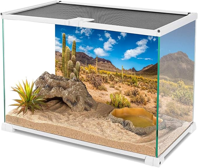 AWERT 36x20 inches Reptile Habitat Background Blue Sky Oasis Cactus Desert Terrarium Background Vinyl