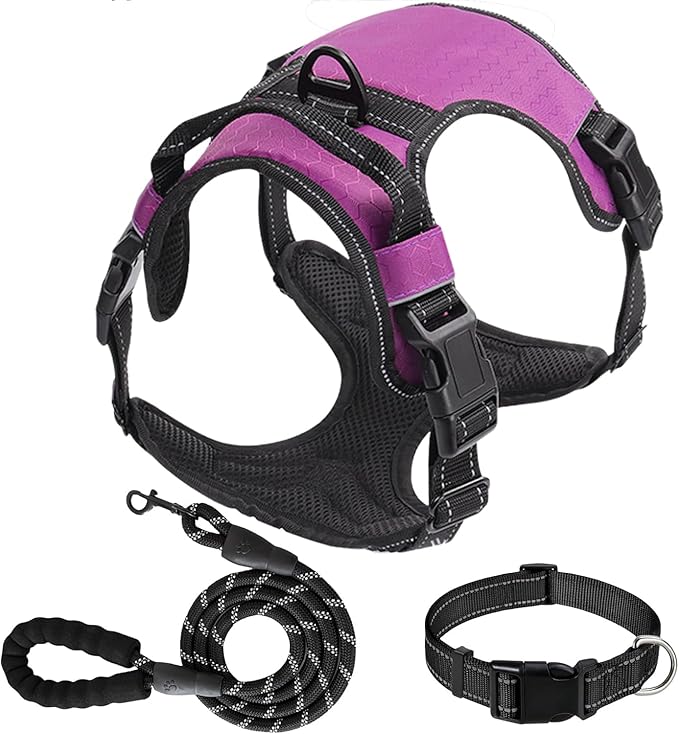 Dog Harness Set, No Pull Dog Vest Harness and 5ft Leash & Collar for Small Medium Sized Large Dog Cat,Adjustable Soft Nylon Padded Dog Vest Reflective Front Clip Vest with Easy Handle -Purple XL
