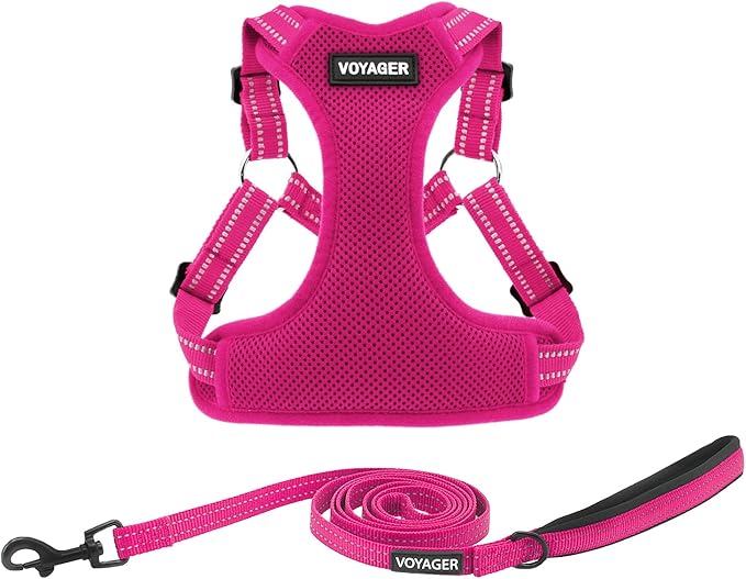 Best Pet Supplies Voyager Mesh Dog Breathable Harness Reflective Stitching, All Weather Adjustable for Walking Training, or Running - Heavy Duty & Durable, Harness Leash Set (Fuchsia), S