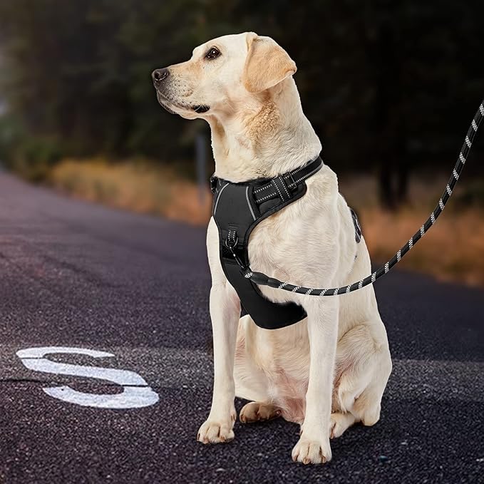 IVY&LANE No Pull Dog Harness for Small Dogs, Dog Vest Harness with Leash, Safety Belt and Storage Strap, Fully Adjustable Harness, 360° Reflective Strip, Soft Handle (Black, S)