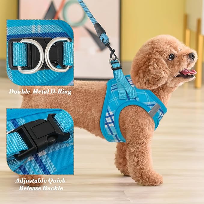 Athena Collection Small Dog Harness with 5 ft Leash, Step-in Dog Harness Leash Set Small No Pull Dog Vest Harness with Reflective Strips Adjustable Velcro, Easy Walk Puppy Harness, Blue