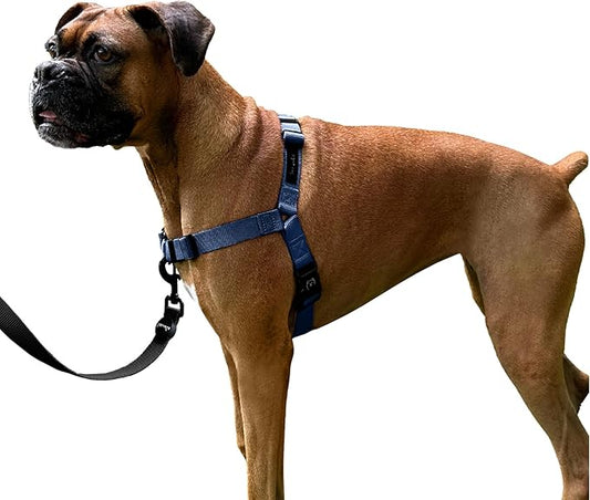 ShawnCo Dream Walk No-Pull Dog Harness- Adjustable, Comfortable, Easy to Use Pet Halter to Help Stop Pulling for Small, Medium and Large Dogs (Pacific Blue, S)