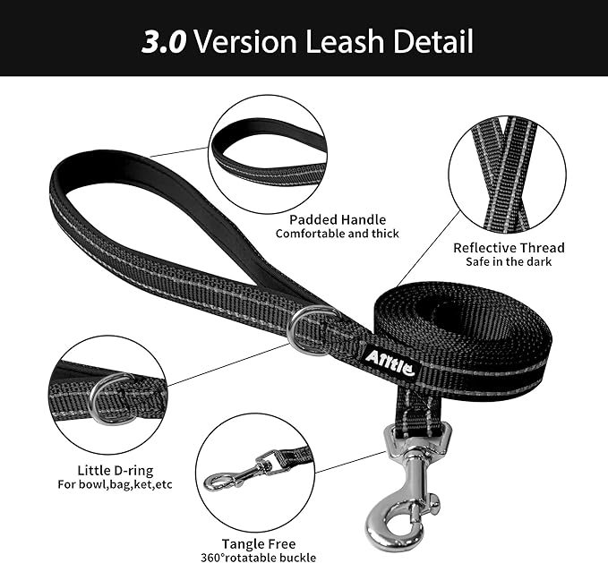 AIITLE Small Harness for Puppy with A Leash - Summer Dog Vest Harness with Super Breathable Mesh, Reflective No-Pull Pet Harness for Outdoor Walking, Camping for Small Dogs, Cats Black XXS