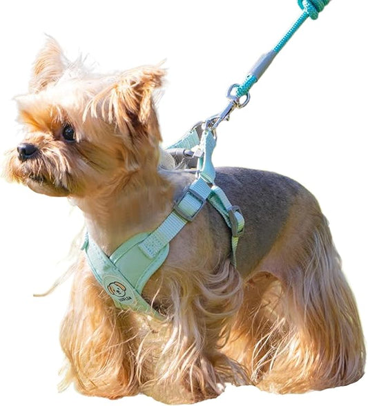 Dog Harness with Leash Set, Puppy Soft Vest No Choke No Pull, Adjustable Neck and Chest, Lightweight Harness and Anti-Twist Pet Leash Combo for Small to Medium Dogs (Green, L-Large)