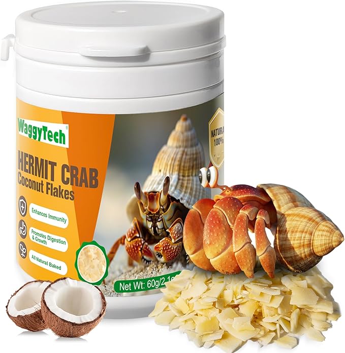 Hermit Crab Food - Baked Coconut Treat, Natural Dried Coconut for Crab Healthy & Additive Free, Easily Digestible Hermit Food Hermit - Ideal Crab Pet Snacks, Crispy & Delicious | 60g (Big)