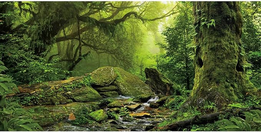 AWERT Tropical Forest Terrarium Background Stream Green Huge Tree Reptile Habitat Background Foggy Rainforest Aquarium Background 72x18 inches Durable Polyester Background