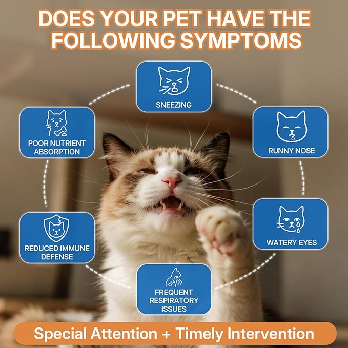 L-lysine Supplement for Cats, Immune Support for Cats, Support for Feline Respiratory, Sneezing, Runny Nose, Eye Function, Helps Strengthen Natural Defenses, Chicken Flavor, 60 ml/2 Fl Oz
