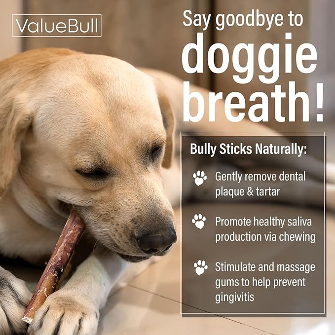 ValueBull Bully Sticks for Small Dogs, Extra Thin 6 Inch, 100 Count Bulk Pack - All Natural, Grass Fed, Single Ingredient, Long Lasting Dog Treats