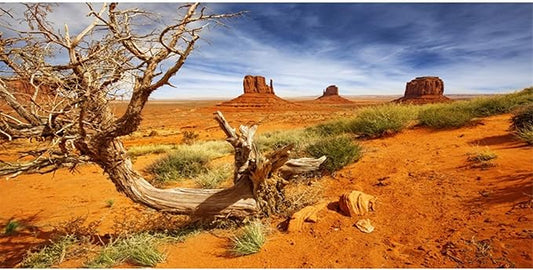 AWERT 30x18 inches Reptile Habitat Background Orange Desert Terrarium Background Polyester Background