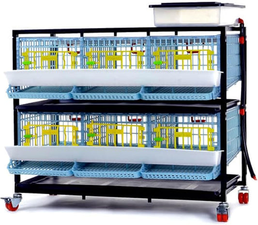Cimuka Jumbo Quail Breeding Cage Indoor – 2 Layer Stackable Quail Pens & Coops | 38.6" x 24" x 35.8" Easy Clean, Rust-Free, Plastic Breeder System with Removable Divider & Egg Collection Trays