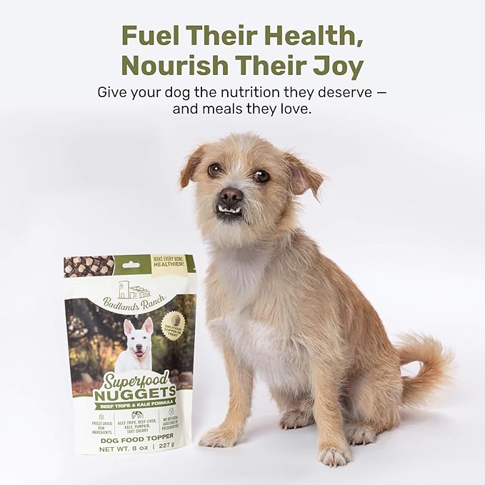 BADLANDS RANCH Superfood Nuggets – Freeze-Dried Raw Dog Treat & Food Topper, Nutrient-Dense Beef Tripe & Kale Formula, High Protein, No Artificial Additives, 8oz Bags (4-Pack Bundle)