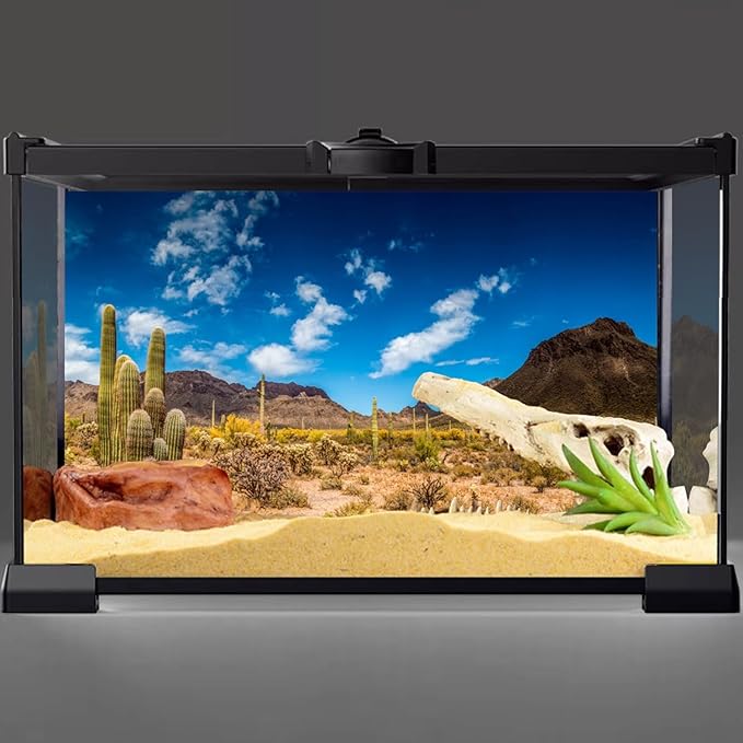AWERT 60x24 inches Reptile Habitat Background Blue Sky Oasis Cactus Desert Terrarium Background Vinyl