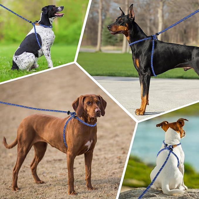 Lynxking No Pull Rope Dog Harness No Pull Reflective Leash Harness Collar 3 in 1 Dog Halter Harnesses Adjustable for Large Giant Dog (Blue, Extra Large(up to 80Ibs) 10ft*1/2")